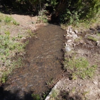 Schrader Creek Ranch  Del Norte images 3