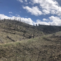 39 Bridger Creek Rd images 4