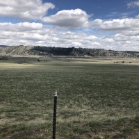 39 Bridger Creek Rd images 6