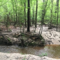 88.9 ac - Timberland  Hunting &nbsp;  Minerals - REDUCED images 2