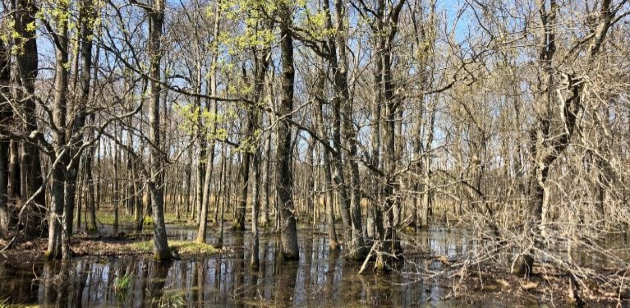262.4 Acres in Tunica County in Robinsonville MS Hunting Land for