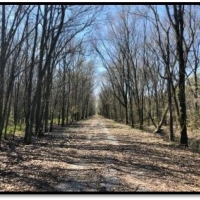 262.4 Acres in Tunica County in Robinsonville  MS images 2