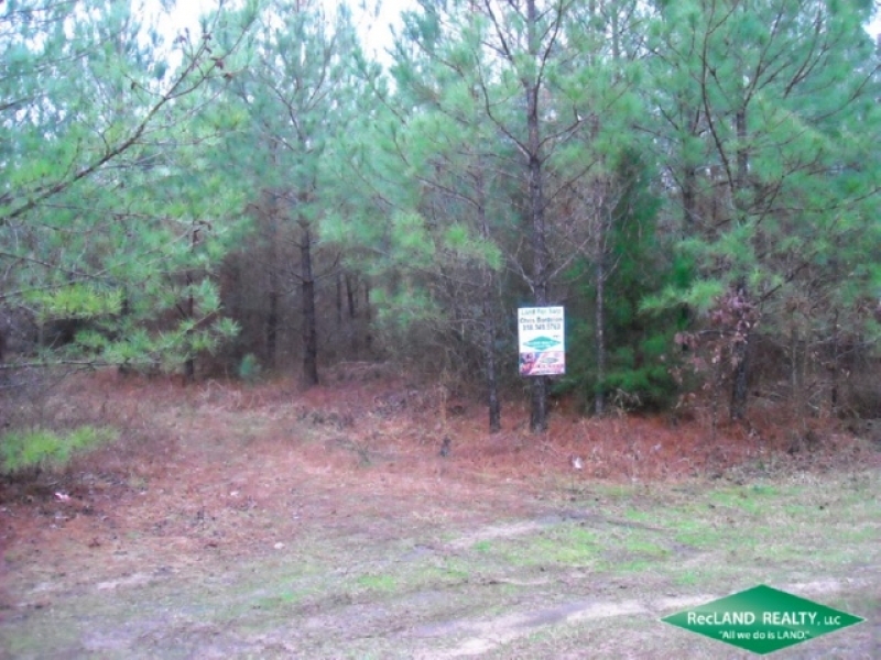 5 ac - Small Hunting Tract featured image