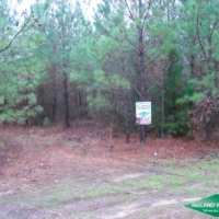 5 ac - Small Hunting Tract