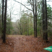 5 ac - Small Hunting Tract images 2