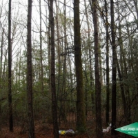 5 ac - Small Hunting Tract images 5