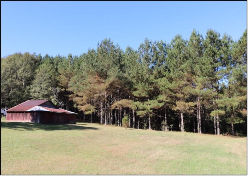 30 Acres in Neshoba County on Hwy 15 in Philadelphia  MS featured image