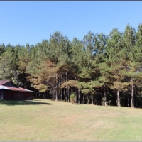 30 Acres in Neshoba County on Hwy 15 in Philadelphia  MS