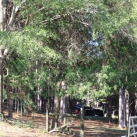 30 Acres in Neshoba County on Hwy 15 in Philadelphia  MS images 2