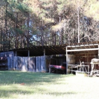 30 Acres in Neshoba County on Hwy 15 in Philadelphia  MS images 4