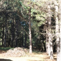 30 Acres in Neshoba County on Hwy 15 in Philadelphia  MS images 5