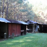 30 Acres in Neshoba County on Hwy 15 in Philadelphia  MS images 6