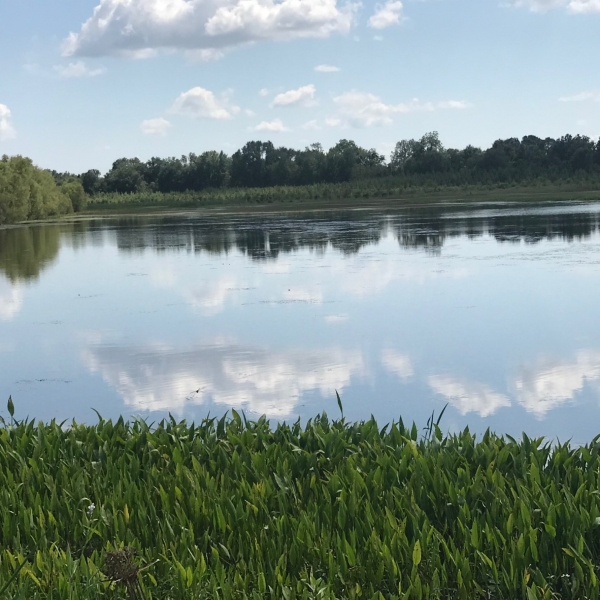 125 Acres in Sunflower County in Indianola MS Hunting Land for Sale