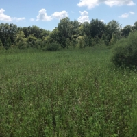 125 Acres in Sunflower County in Indianola  MS images 4