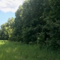 125 Acres in Sunflower County in Indianola  MS images 5