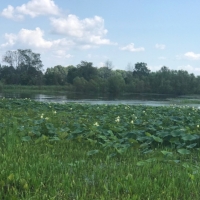 125 Acres in Sunflower County in Indianola  MS images 6