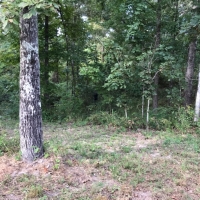 8.33 Acres in Jefferson Davis County in Carson  MS images 5