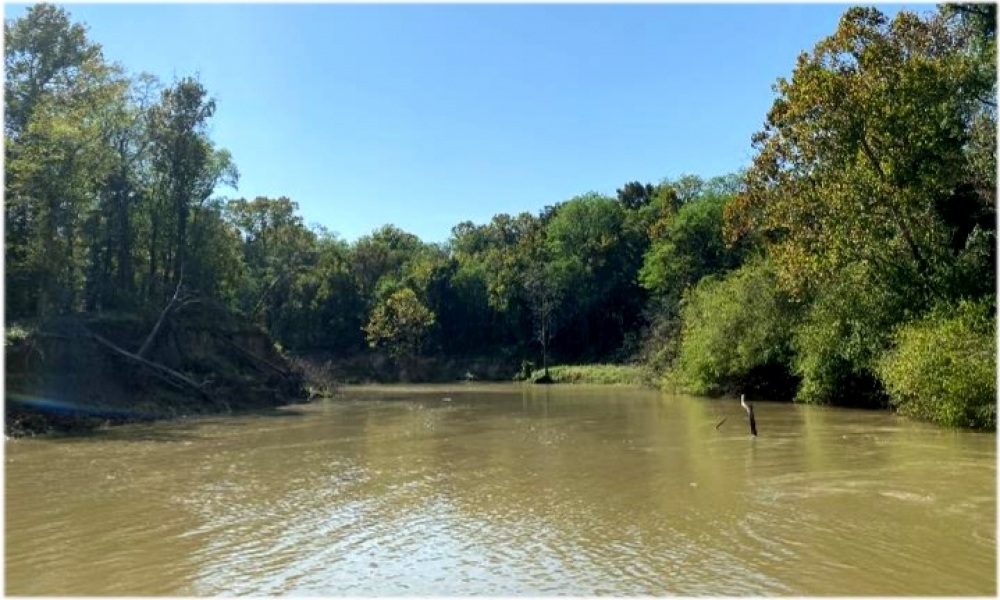 Equity Share in Bolivar County at Smith Point LLC Hunting Land for