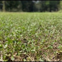 Equity Share in Bolivar County at Smith Point  LLC images 3