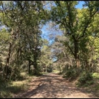 Equity Share in Bolivar County at Smith Point  LLC images 5