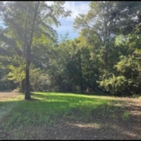 Equity Share in Bolivar County at Smith Point  LLC images 6