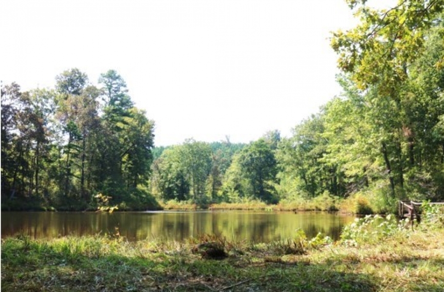 192 Acres in Montgomery County in Winona  MS featured image