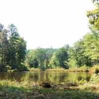 192 Acres in Montgomery County in Winona  MS images 1
