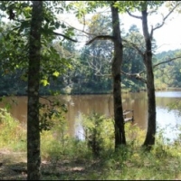 192 Acres in Montgomery County in Winona  MS images 2