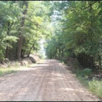 192 Acres in Montgomery County in Winona  MS images 3
