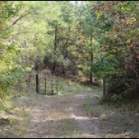 192 Acres in Montgomery County in Winona  MS images 6