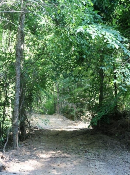 60 Acres in Yazoo County in Yazoo City  MS featured image