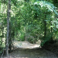 60 Acres in Yazoo County in Yazoo City  MS