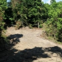 60 Acres in Yazoo County in Yazoo City  MS images 3