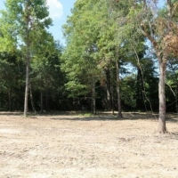 60 Acres in Yazoo County in Yazoo City  MS images 6