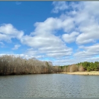 374 Acres in Carroll County in Vaiden  MS images 6