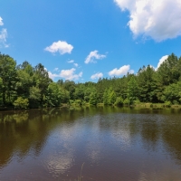 355 Acres with a Home in Jasper County in Vossburg  MS