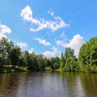355 Acres with a Home in Jasper County in Vossburg  MS images 2