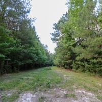 355 Acres with a Home in Jasper County in Vossburg  MS images 4