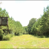 37.66 Acres in Hinds County in Utica  MS