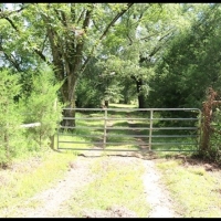 37.66 Acres in Hinds County in Utica  MS images 2