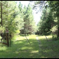 37.66 Acres in Hinds County in Utica  MS images 3