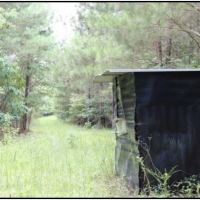 53 Acres in Winston County in Philadelphia  MS images 2