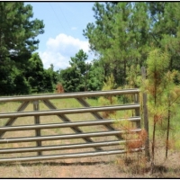53 Acres in Winston County in Philadelphia  MS images 3