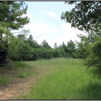53 Acres in Winston County in Philadelphia  MS images 4