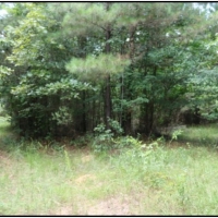 53 Acres in Winston County in Philadelphia  MS images 5