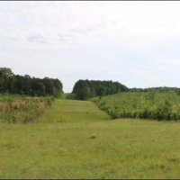 79 Acres in Winston County in McCool  MS images 1