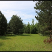 79 Acres in Winston County in McCool  MS images 3