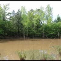 79 Acres in Winston County in McCool  MS images 5