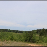 79 Acres in Winston County in McCool  MS images 6