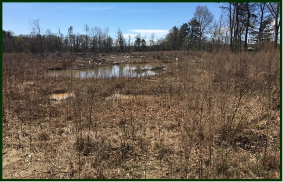 80 Acres in Scott County in Morton  MS featured image